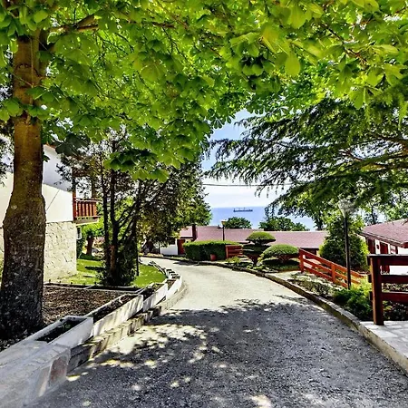 Holiday park Complex Fichoza 3*