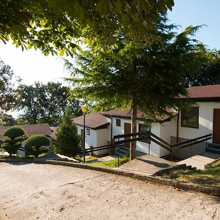 Complex Fichoza 3*