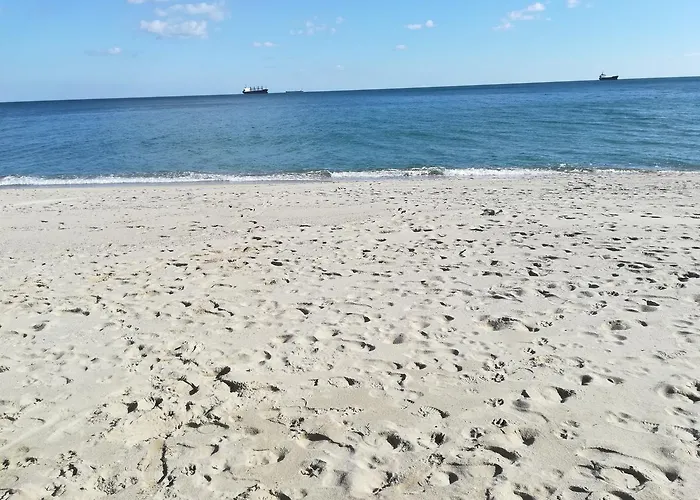 Complex Fichoza Village de vacances